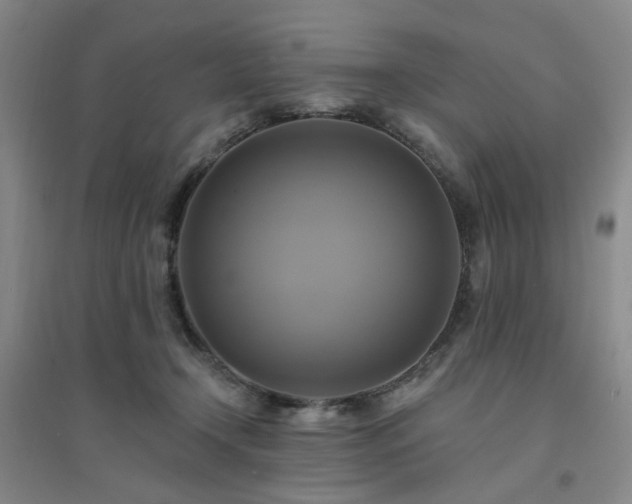 X0000094420366200711151326