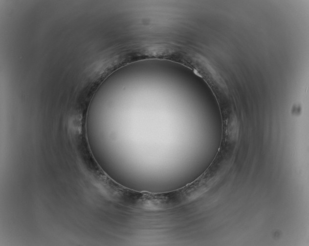 X0000094420368200711151326