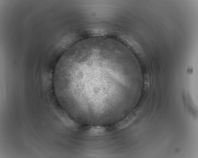 X0000094420369200711151326