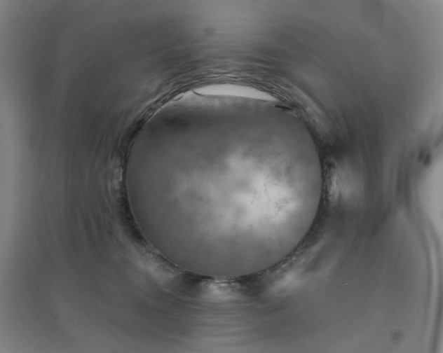 X0000094420372200711151326