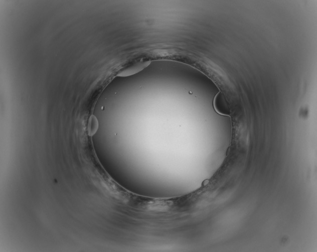 X0000094420373200711151326