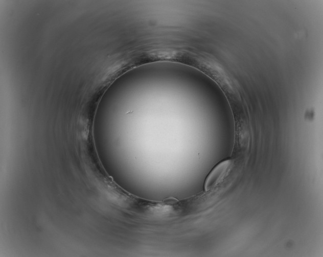 X0000094420374200711151326