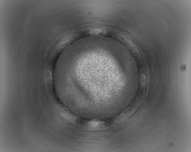 X0000094420375200711151326