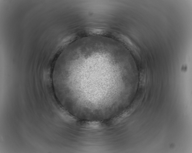 X0000094420377200711151326
