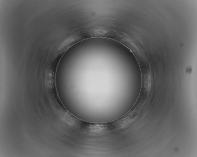 X0000094420378200711151326