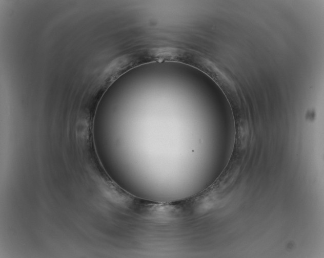X0000094420379200711151326