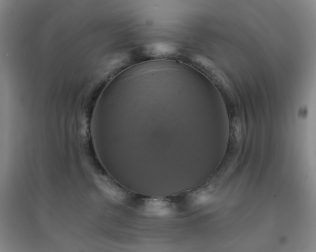 X0000094420380200711151326