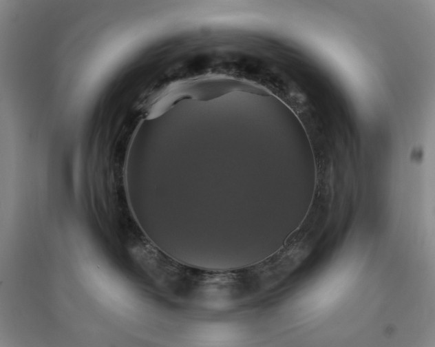 X0000094420382200711151326