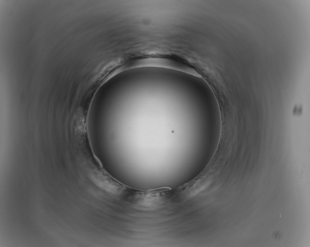 X0000094420384200711151326