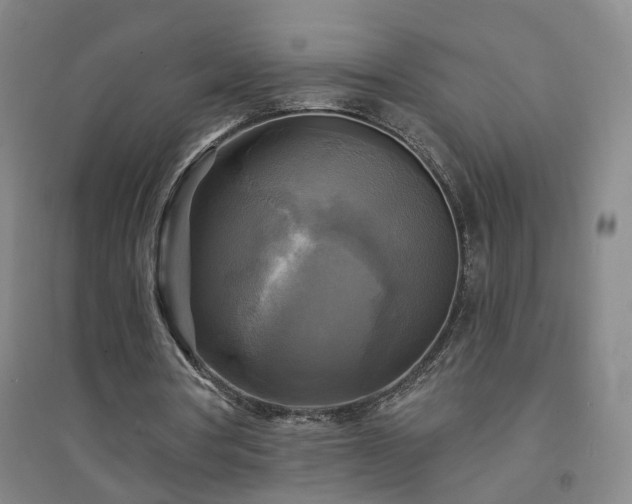 X0000094420386200711151325