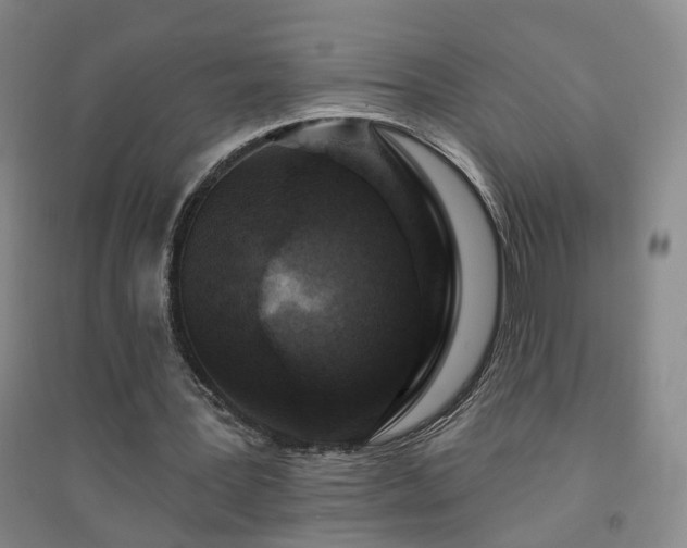 X0000094420387200711151325