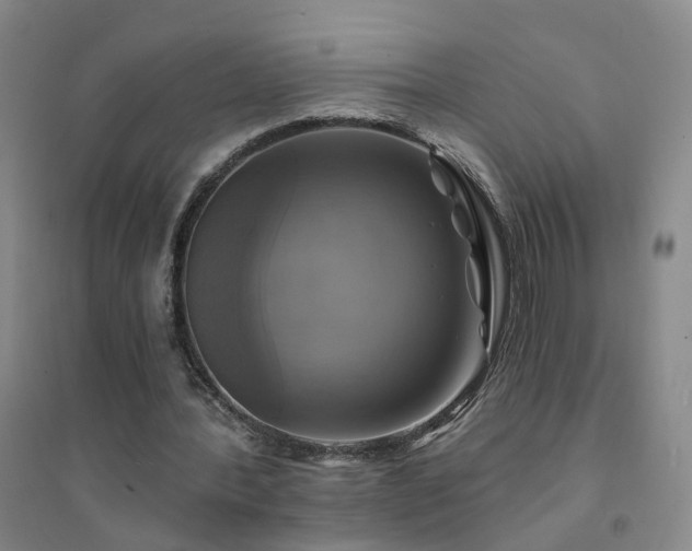 X0000094420388200711151325