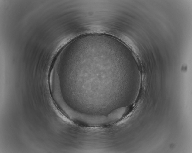 X0000094420389200711151325