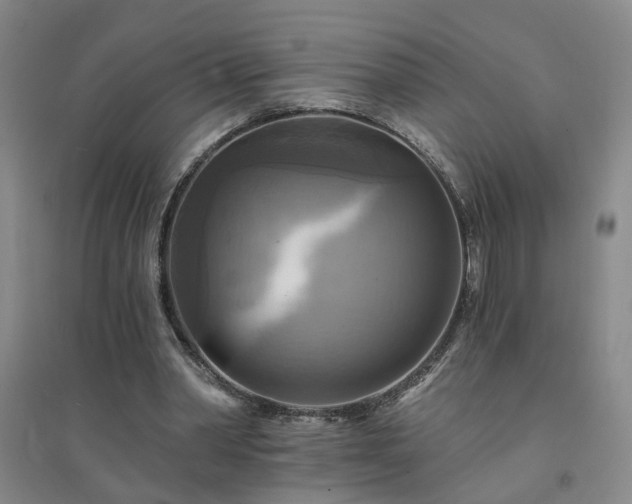 X0000094420390200711151325