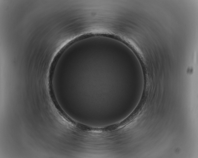 X0000094420391200711151325
