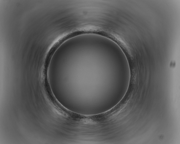X0000094420392200711151325