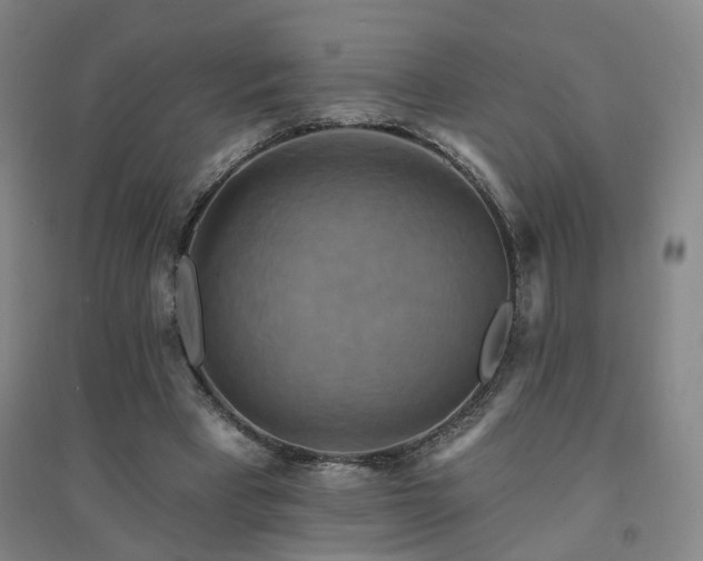 X0000094420393200711151325