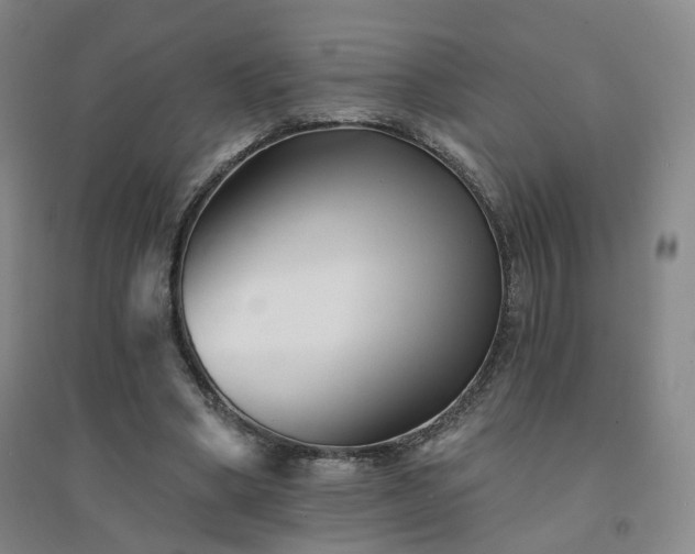 X0000094420394200711151325