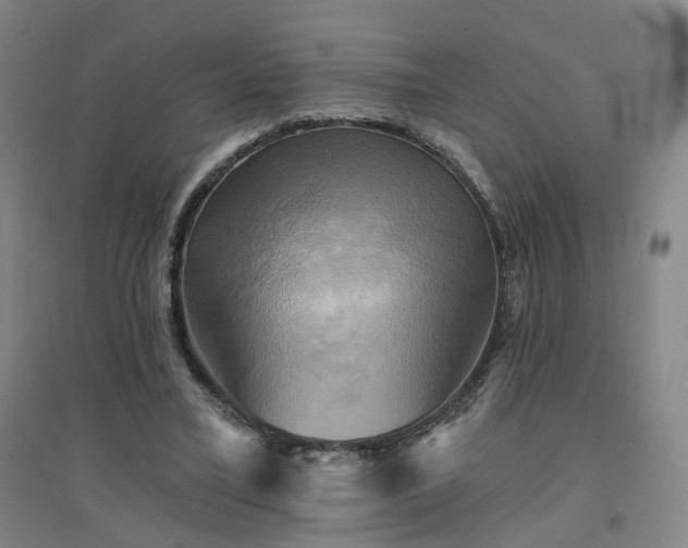 X0000094420395200711151325
