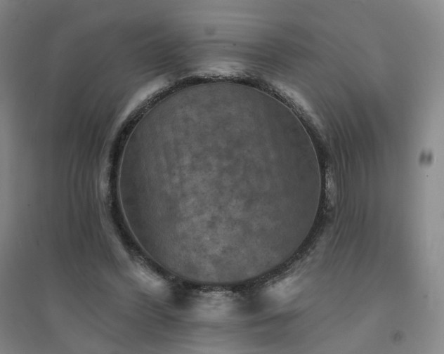 X0000094420396200711151325