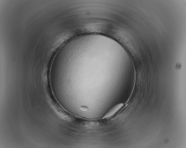 X0000094420398200711151325