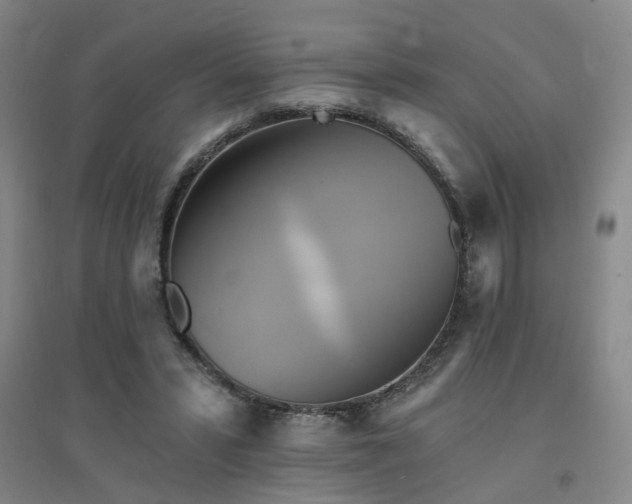 X0000094420399200711151325