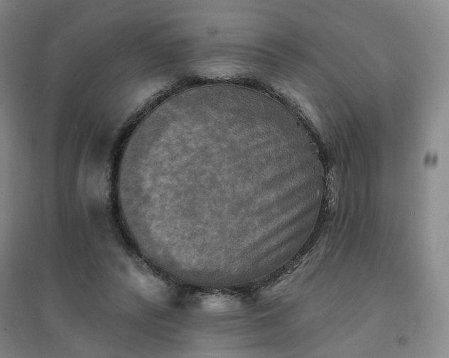 X0000094420400200711151325