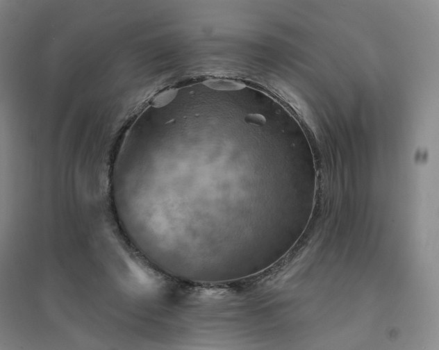 X0000094420401200711151325