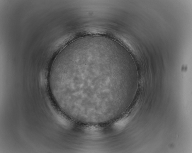 X0000094420402200711151325