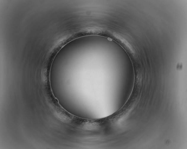 X0000094420403200711151325