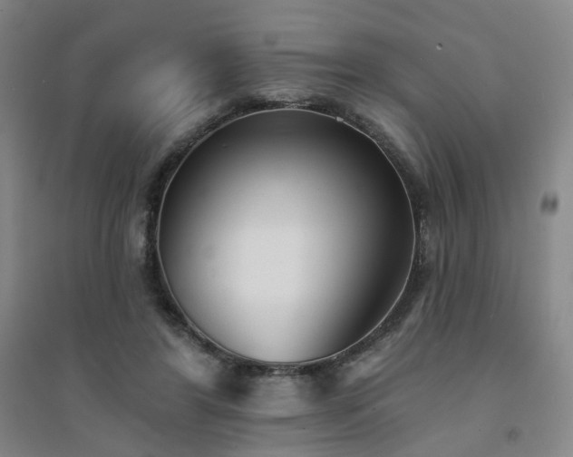 X0000094420404200711151325