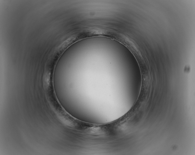 X0000094420406200711151325