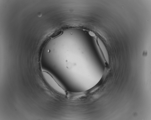 X0000094420407200711151325