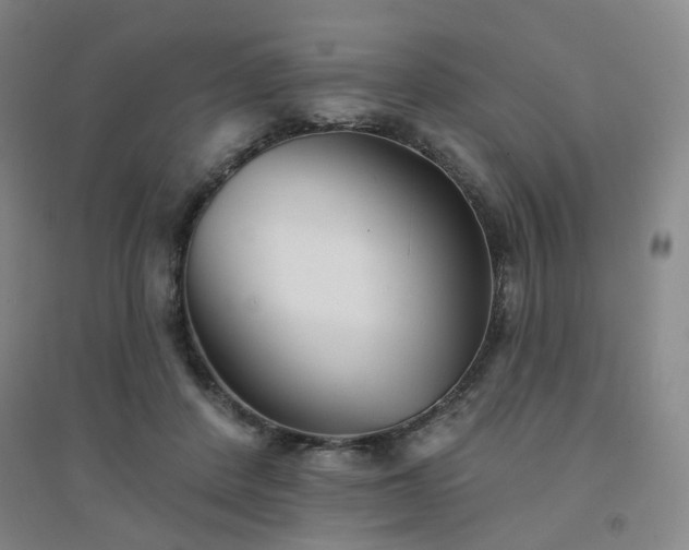 X0000094420408200711151325