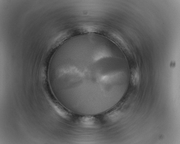 X0000094420410200711151325