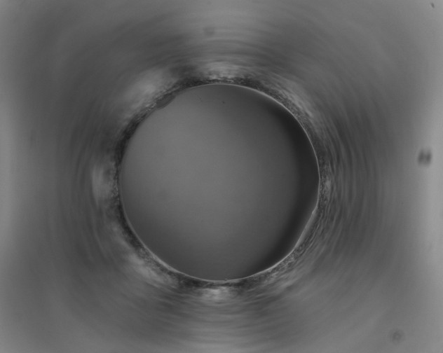 X0000094420411200711151325