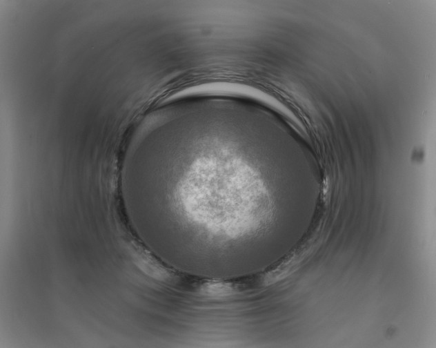 X0000094420413200711151325