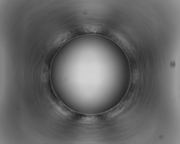X0000094420414200711151325