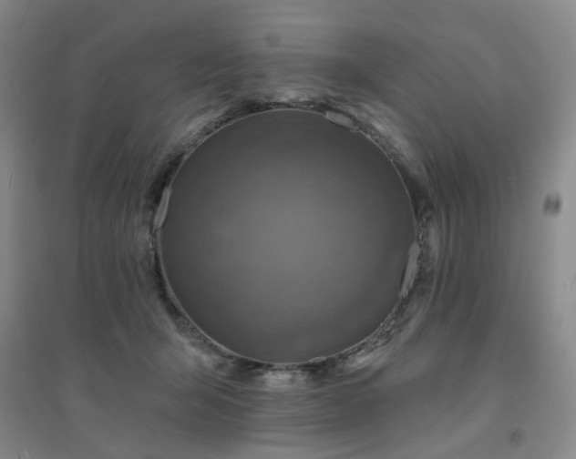 X0000094420415200711151325