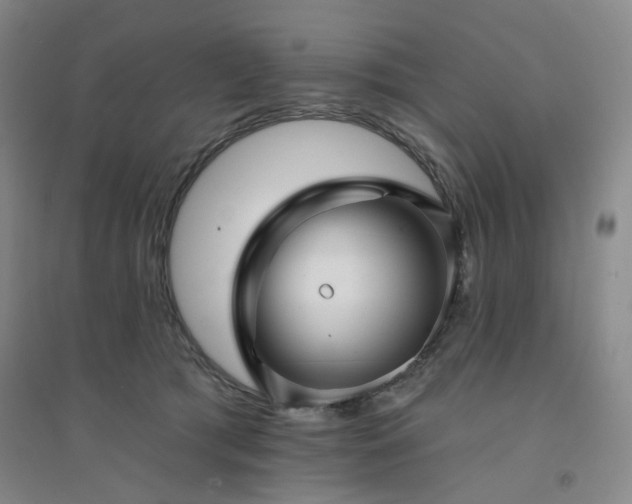 X0000094420417200711151325