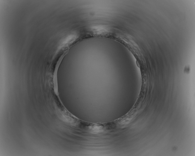 X0000094420419200711151325