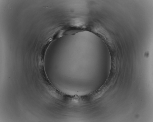 X0000094420420200711151325