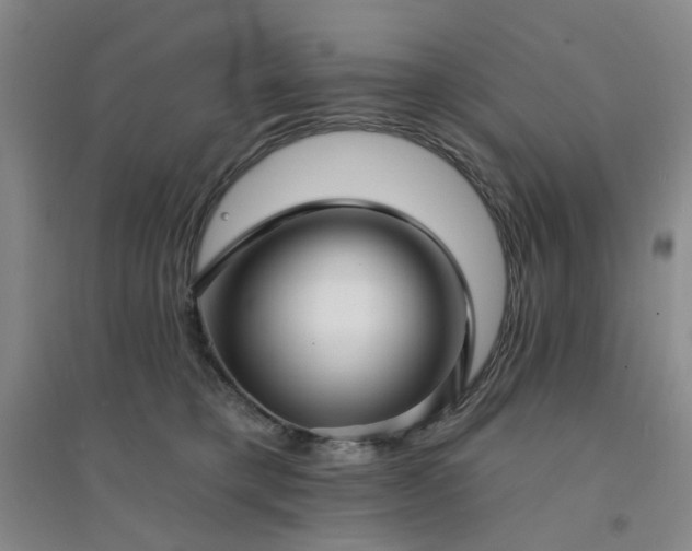 X0000094420421200711151325