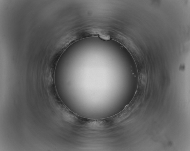 X0000094420422200711151325
