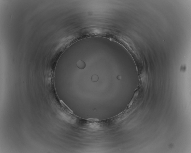 X0000094420423200711151325