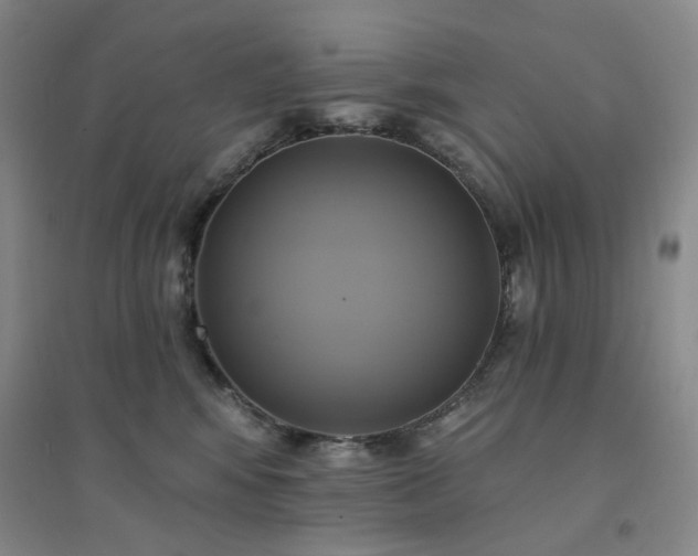X0000094420424200711151325