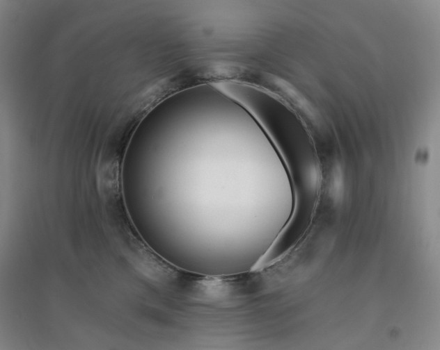 X0000094420425200711151325