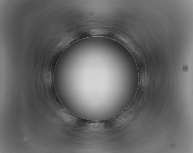 X0000094420426200711151325