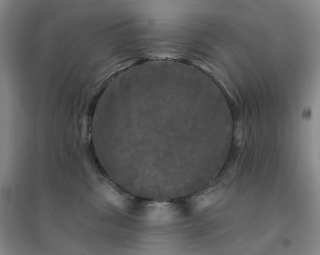 X0000094420428200711151324