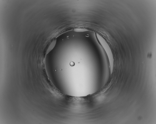 X0000094420429200711151324